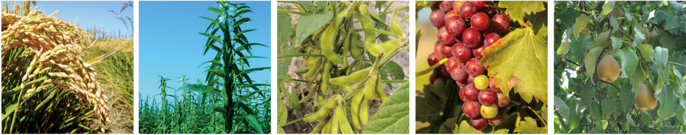 1664268890979094.png 25-25.png