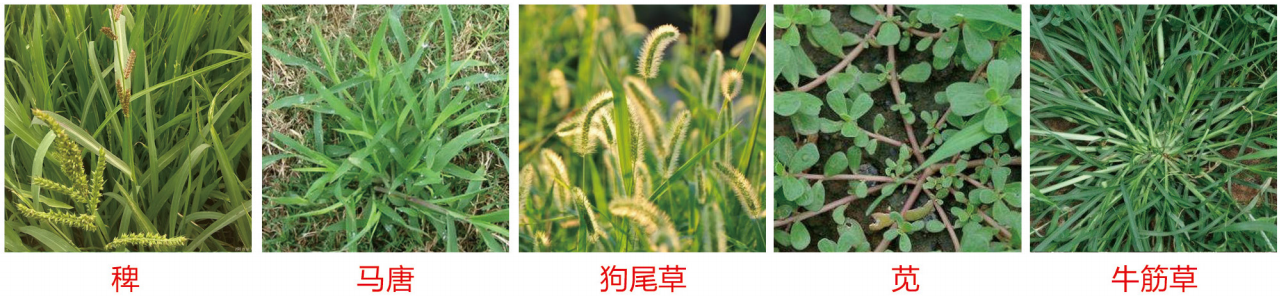 1664331761404156.png 30-30.png