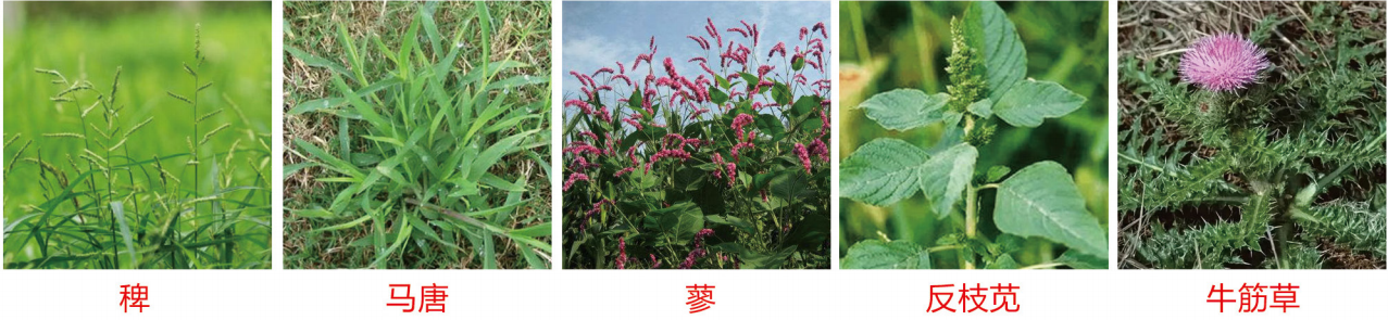 1664342146365539.png 33-33.png