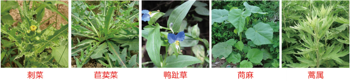 1664348563368392.png 46-46.png